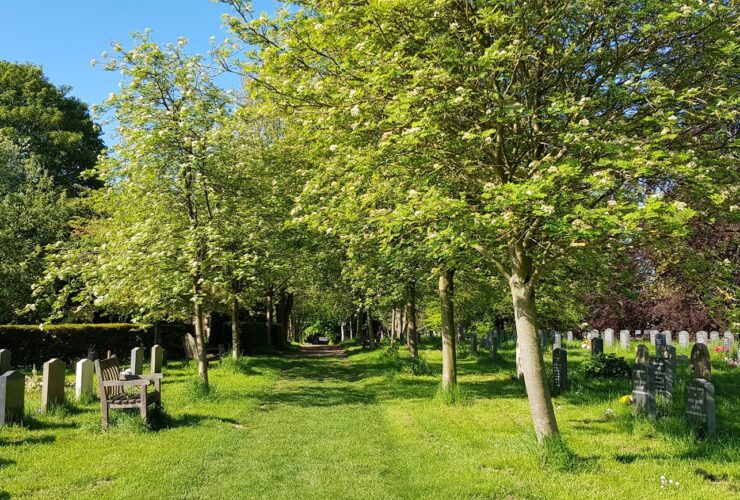 A path through a churchyard in springtime