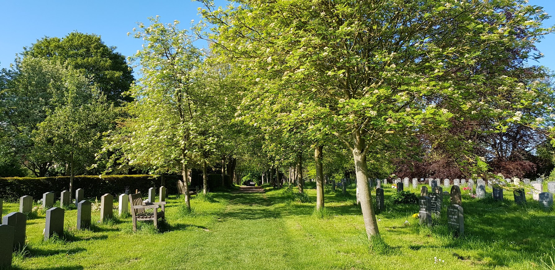 A path through a churchyard in springtime